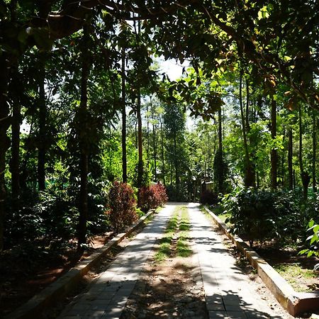 Silver Springs Homestay Chickmagalur Chikmagalūr Extérieur photo